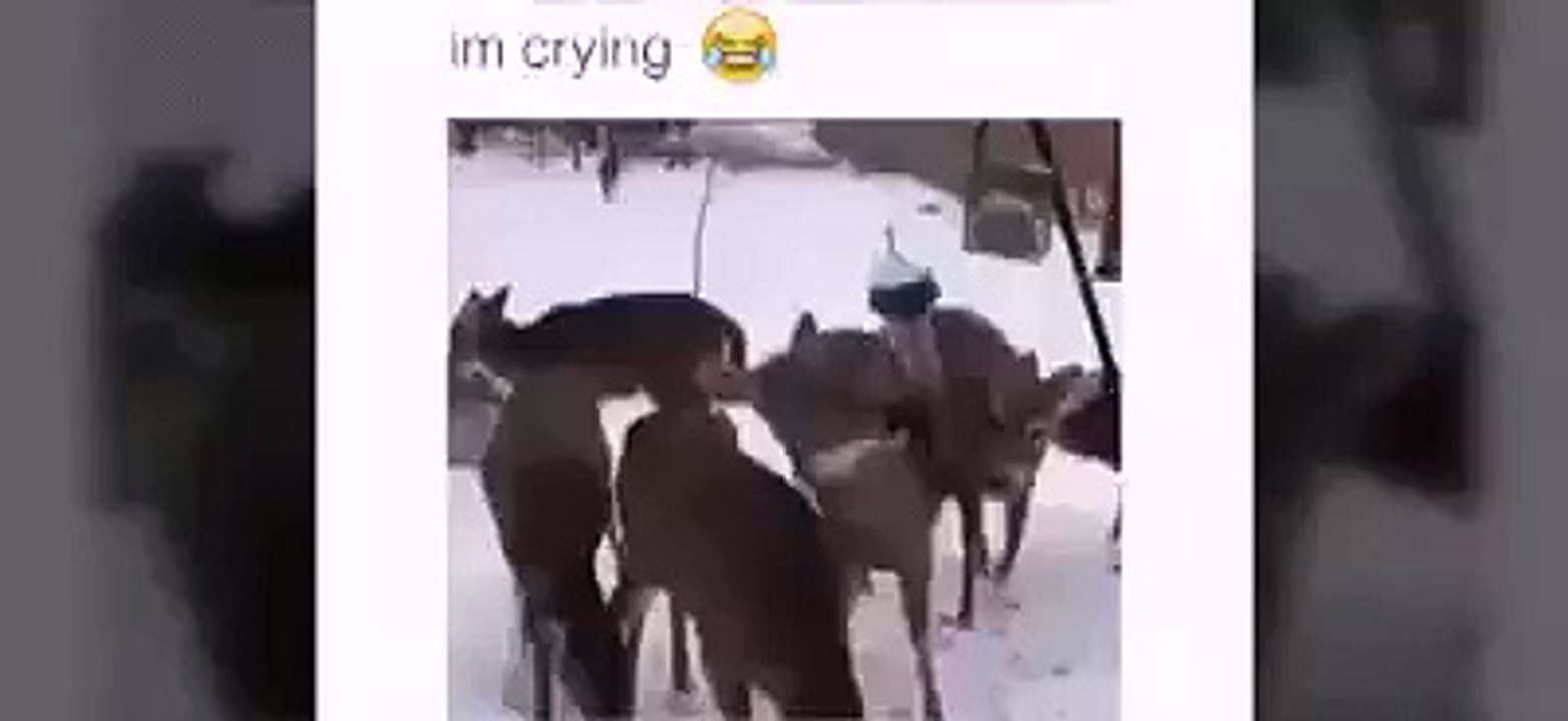 IM CRYING