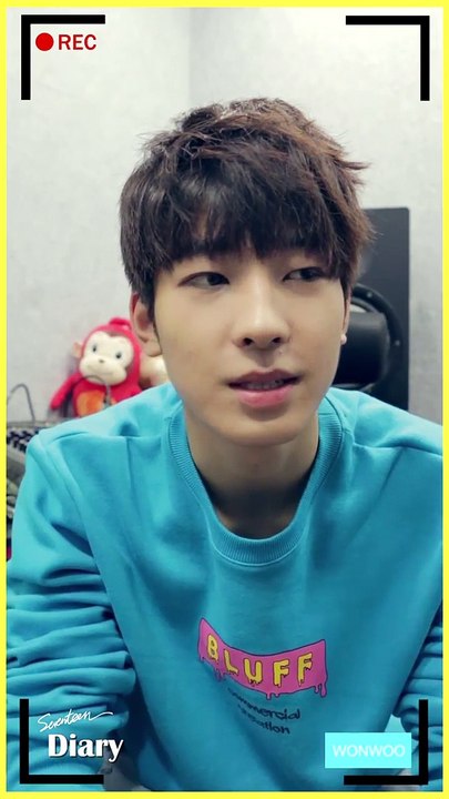wonwoo diary 2