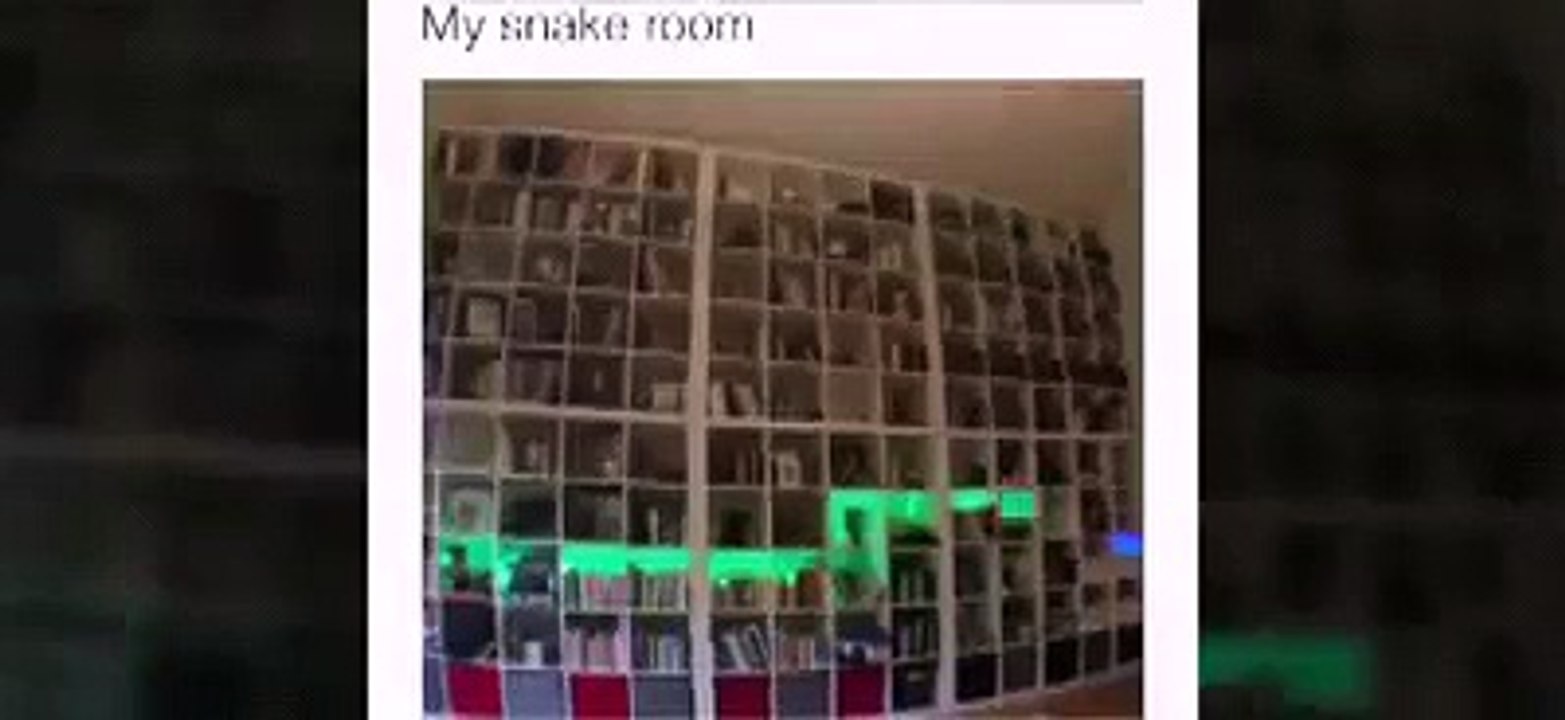 MY SNAKE ROOM