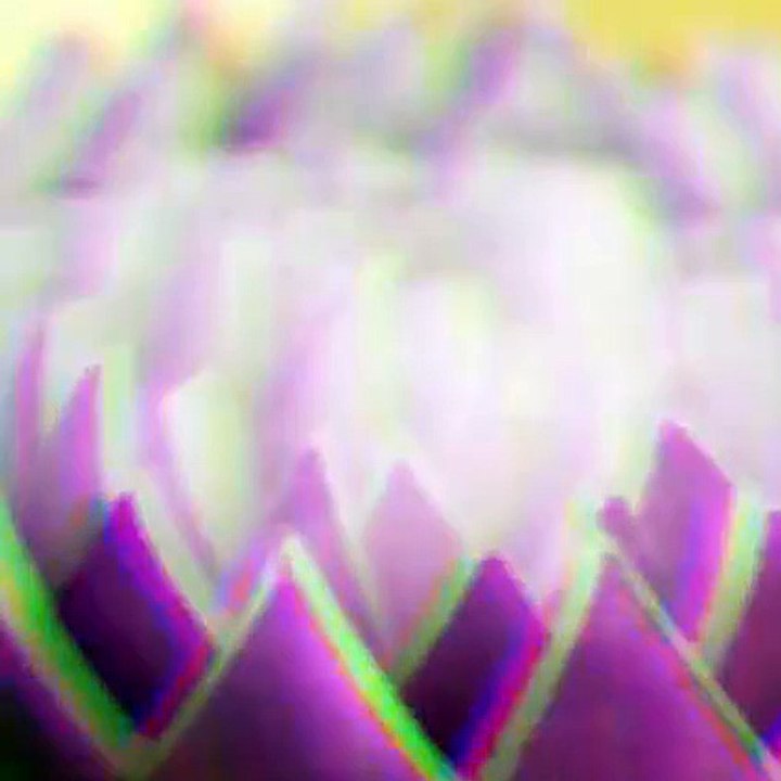 Flower Garnish Tutorial