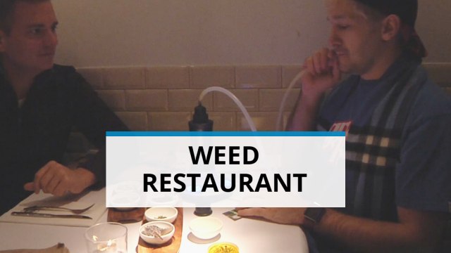 Weed and munchies under one roof: The weed restaurant