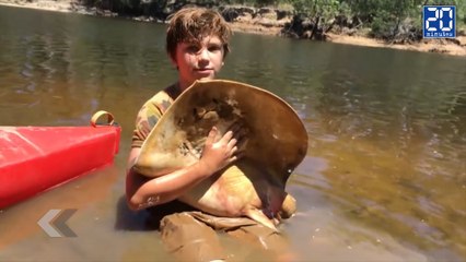 A 12 ans, il accouche des animaux sauvages ! - Le rewind du jeudi 3 décembre 2015.