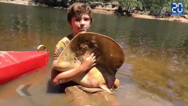 A 12 ans, il accouche des animaux sauvages ! - Le rewind du jeudi 3 décembre 2015.