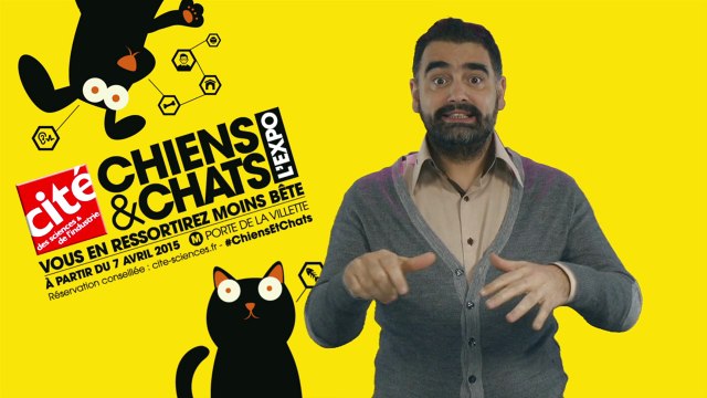Informations LSF - Exposition Chiens et Chats, l'expo - Cité des sciences et de l'industrie - Paris 19ème