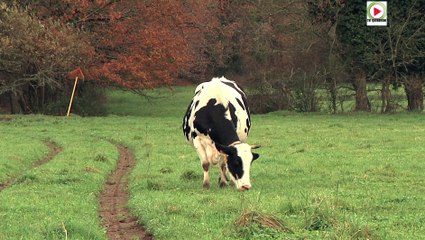 Ploemel     | Un si beau village breton - Bretagne Télé