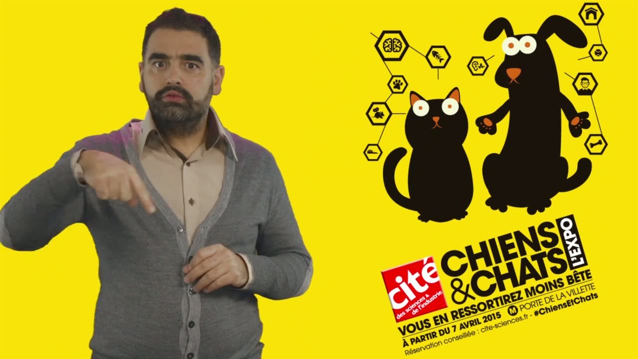 Edito LSF Chiens & Chats