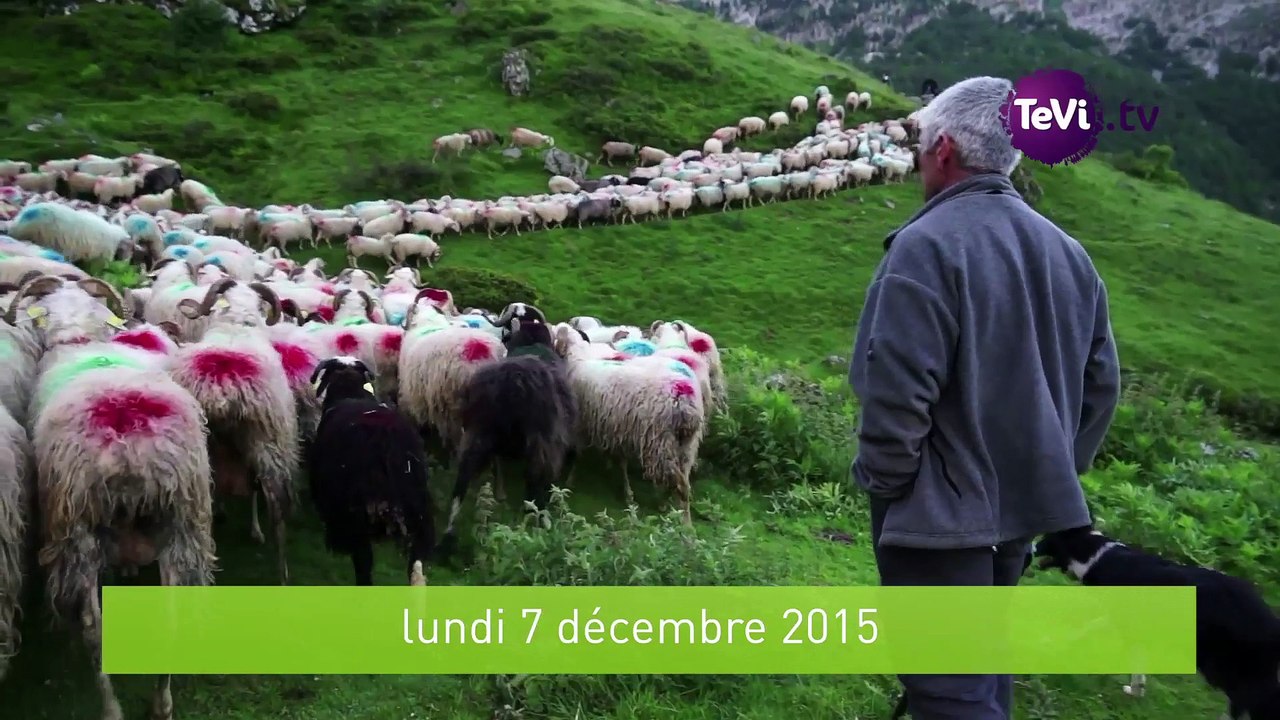 Connaissance du monde Les Pyrénées [TéVi] 15_12_04