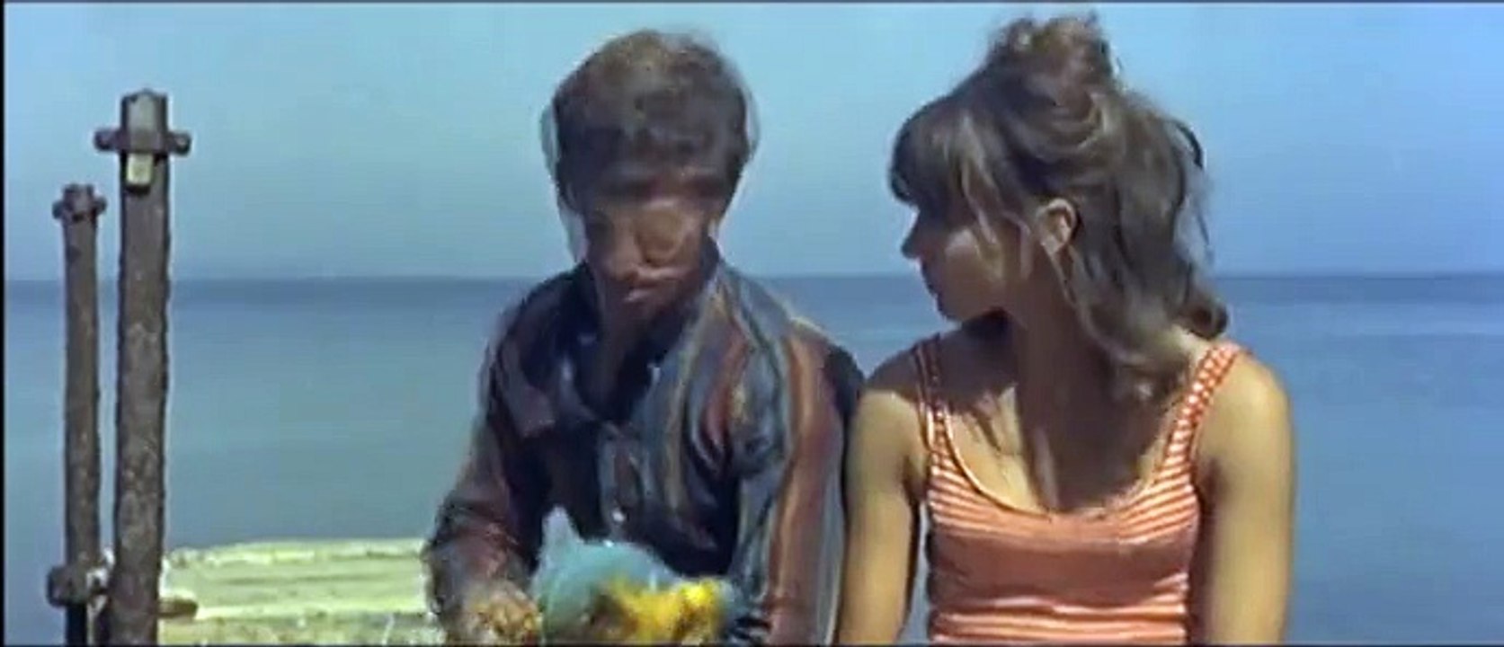 "Compression Pierrot le fou de Jean-Luc Godard" (2015) de Gérard Courant