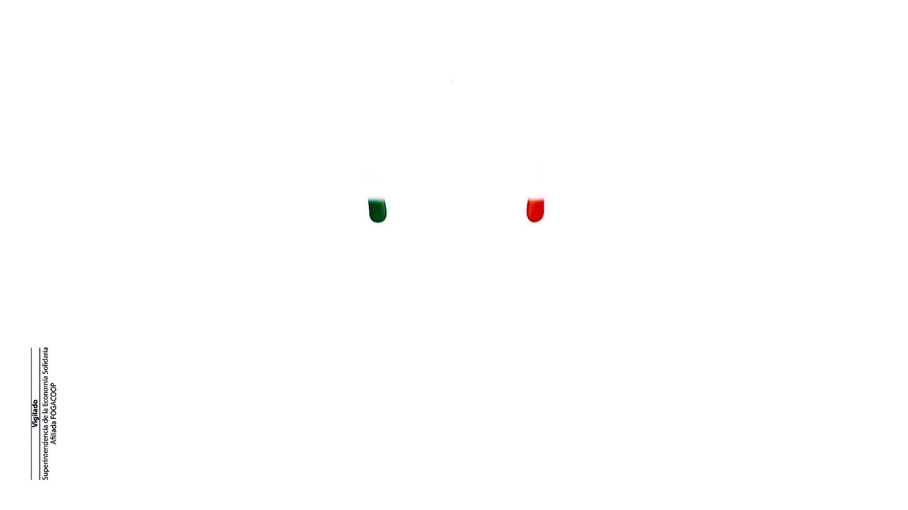 Animacion 2D Avancop