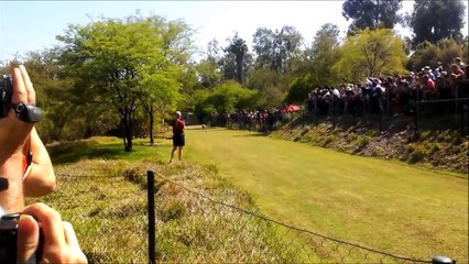 Çitalar ve Dünyanın En Hızlı Köpekleri