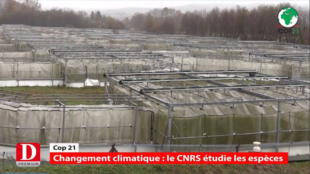 Cop 21 : le CNRS étudie le réchauffement climatique à Moulis