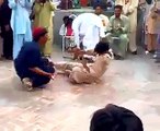 Pathans Very Funny Nagan Dance