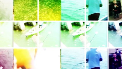 Amazing Fishing Videos Compilation from the JukinVideo Vault