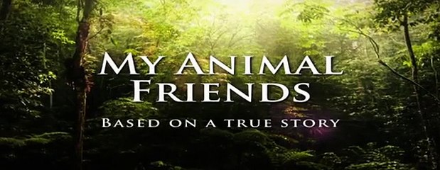 Brumby - My animal friends - Animals Documentary -Kids educational Videos