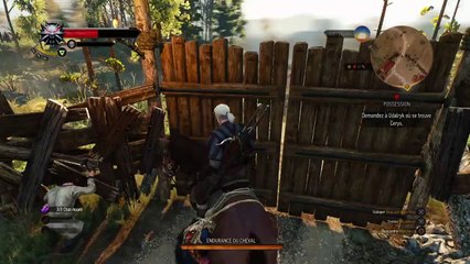 The Witcher 3: Wild Hunt .