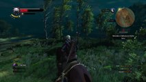 The Witcher 3: Wild Hunt nage cheval nage !!!