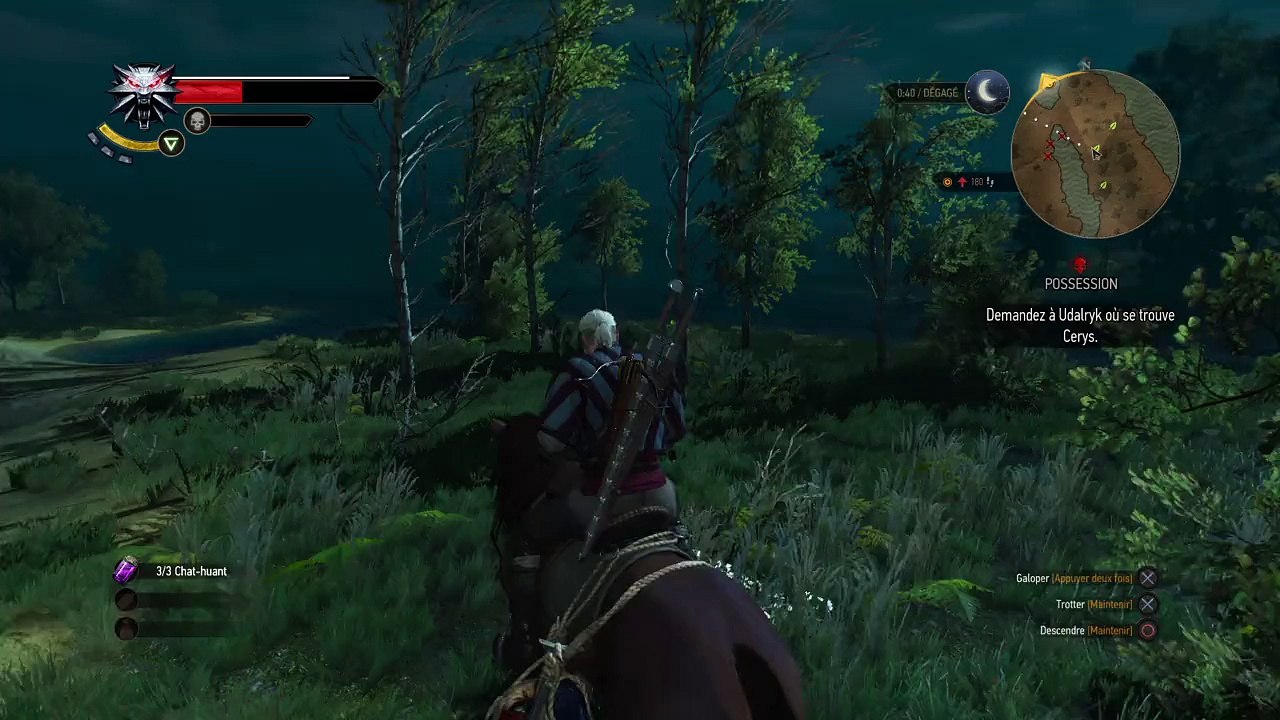 The Witcher 3: Wild Hunt nage cheval nage !!!
