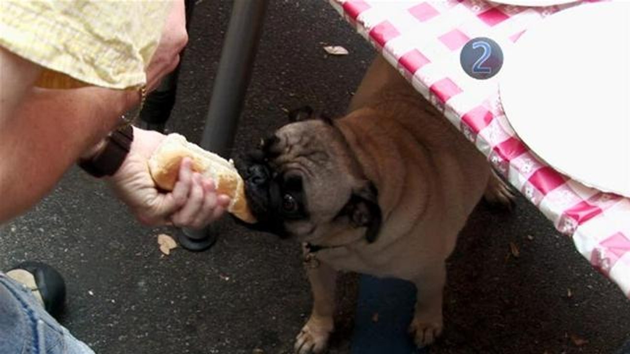 How To Cheat To Win An Eating Contest