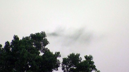 Massive Swarm Of Flies Over Trinity River In Dallas Texas