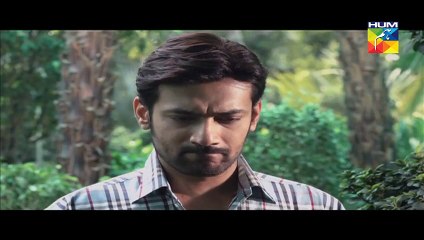 Sangat Episode 16 Full HUM TV Drama 3 Dec 2015