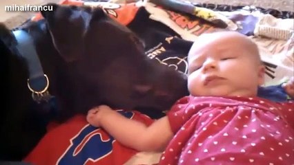 Cute Cats and Dogs Love Babies Compilation 2014 NEW HD Low