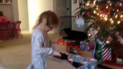 Big Dogs Playing with Babies Compilation 2015 [NEW HD VIDEO]