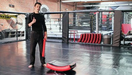 Pirate Fighting Styles