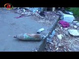 Kobanes Unexploded Ordnances