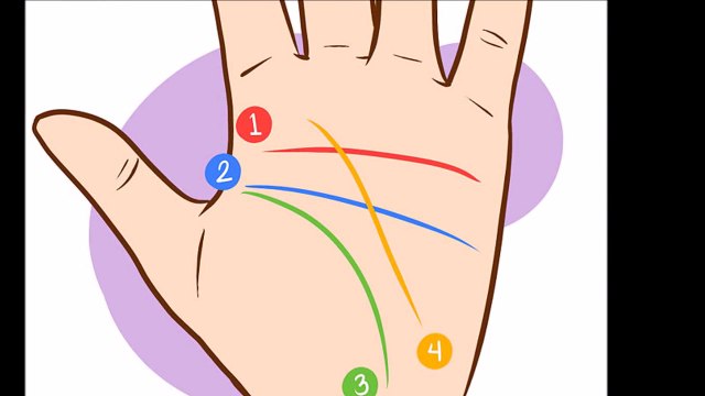 COMO LEER LAS LINEAS DE LA MANO/ APRENDE A LEER LA LINEA DEL AMOR