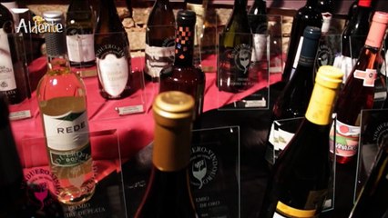 PREMIOS DEL CONCURSO VINDUERO DE TRABANCA 2015