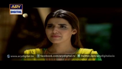 Mere Jevan Sathi Episode 19 – 3rd December 2015 - ARY Digital