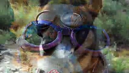 7 Stupid Inventions That Made Millions!