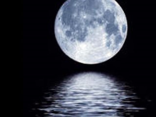 chez la mére a titi