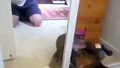 Враг в отражении! Ржач!!!