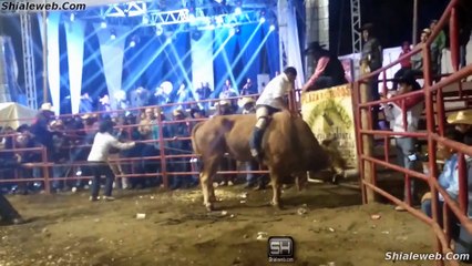 SUPER JARIPEO EXTREMO EN RANCHO SANTA MONICA EN SAN MIGUEL XICALCO MEXICO LOS JINETES VALIENTES MONTAN A LOS TOROS MAS SALVAJES NOVIEMBRE 2015