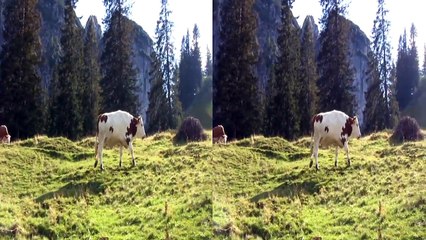 Mystic Mountains - 3D Side by Side (SBS)