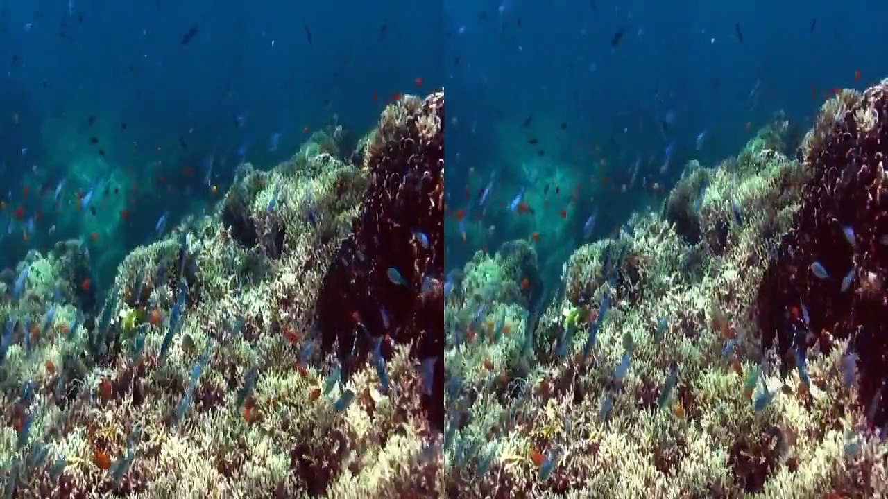 Ocean World 3D - Side by Side (SBS)