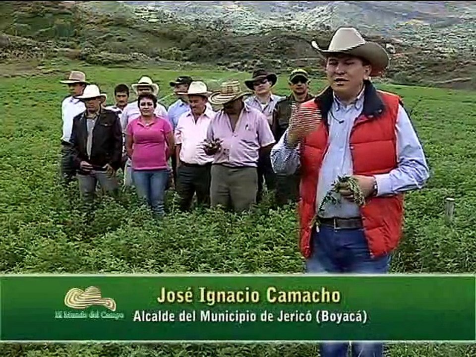 3 de diciembre de 2015 Alfalfa