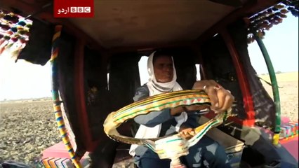 Sairbeen 27th November 2015.BBC Urdu