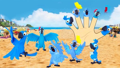 RIO 2 Finger Family Nursery Rhymes For Children and Babies| Fan Made |
