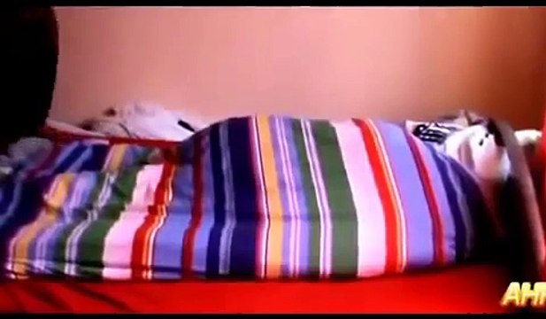 Piadas sobre as pessoas a dormir! Engraçados da coleção # 2