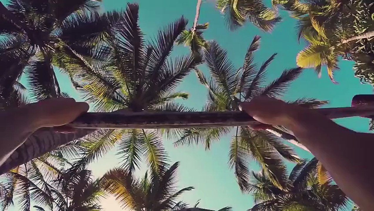 WHTKD - Say To Me (Official Video)