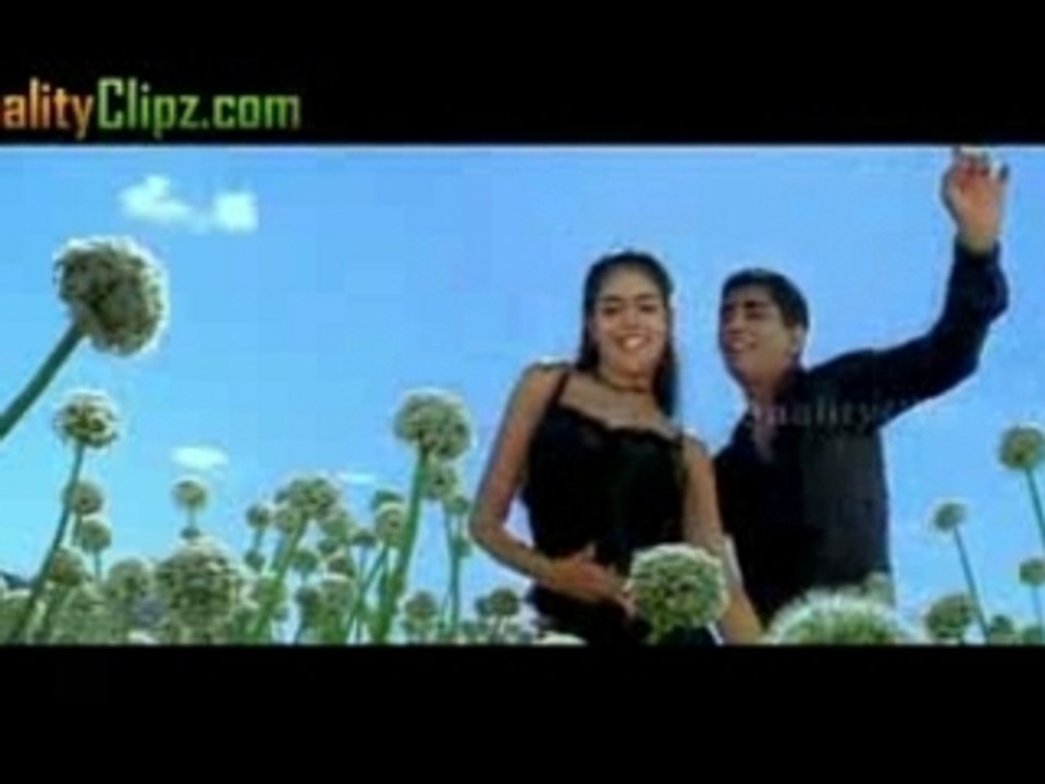 AlaiAlai