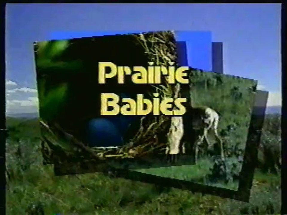 Babies of the Prairie (1999 Edition)