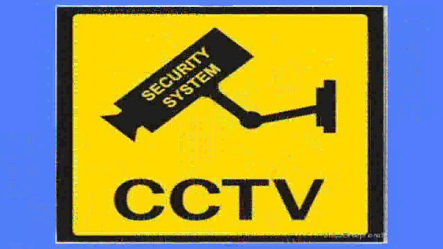 Dome Surveillance Cameras UniquExceptional UDC6 Outdoor Dome Fake Security Camera with BLINKING LIGHT