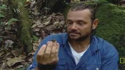 Aventuras Selvagem com Richard - Animais venenosos.