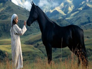 The Young Black Stallion  MOVIE