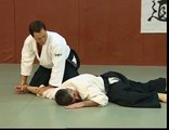 Lecciones Técnicas de Aikido