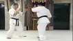 Lecciones Técnicas de Karate Kyokushin