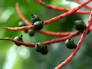 QUDRAT-E-BARI TALA SUBHANALLAH